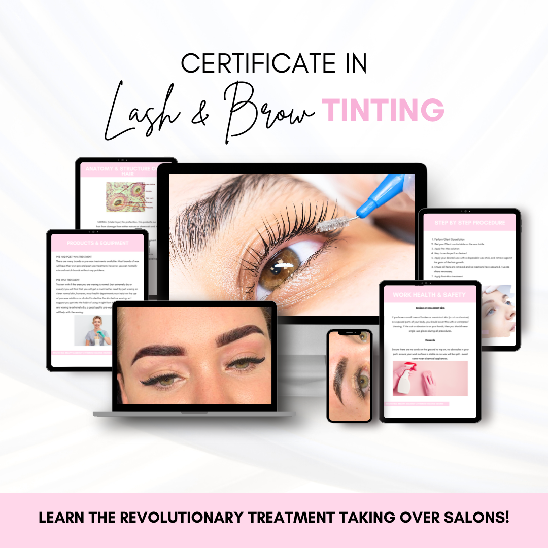 Certificate in Brow Mastery online course bundle showcasing learning materials and instructional videos.