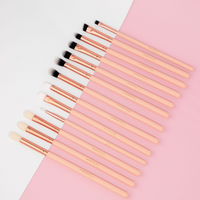 PRO EYE BRUSH SET - 15pc - Makeup and Beauty Courses Online